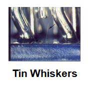 Tin Whiskers